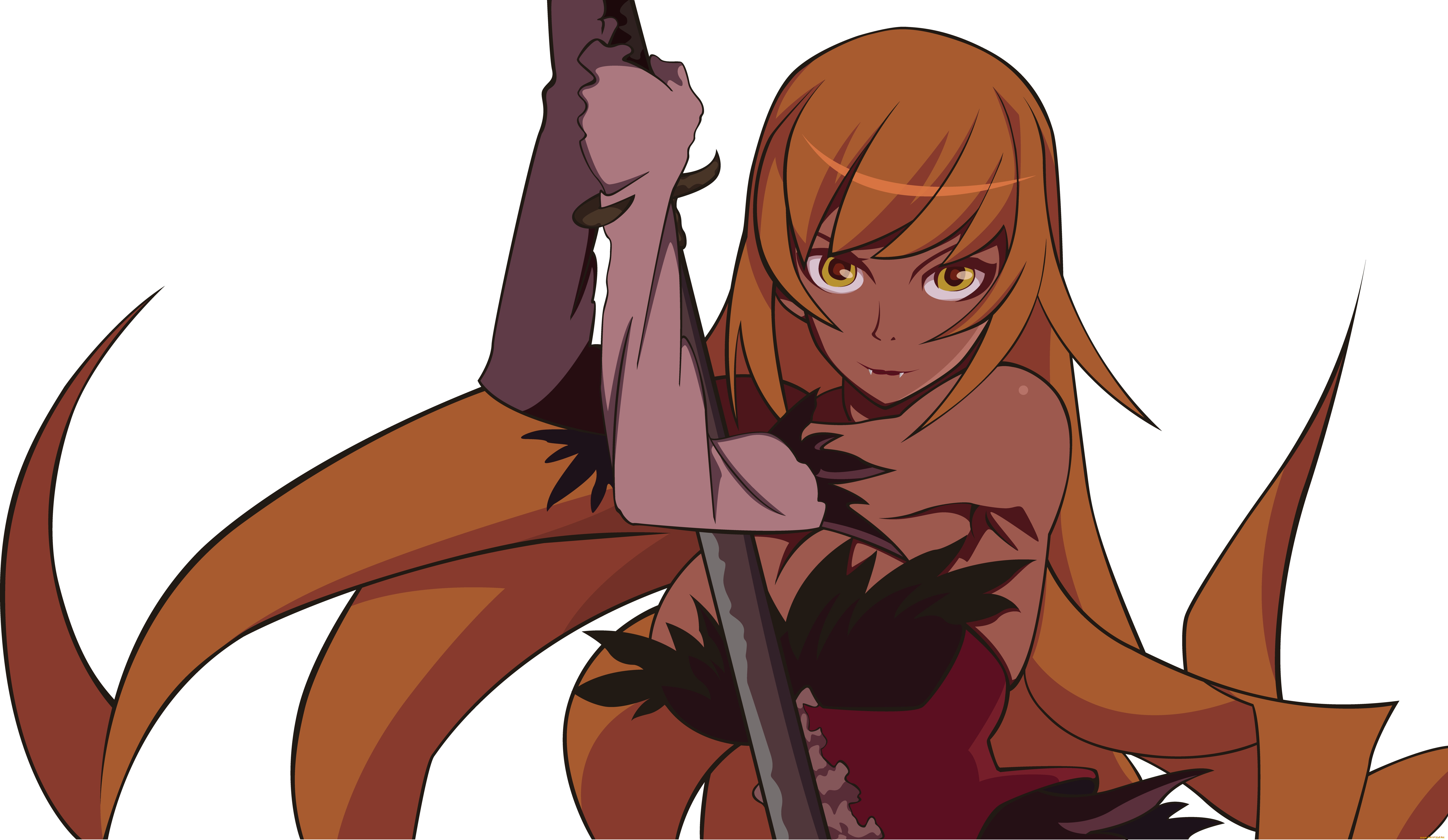 , bakemonogatari, , , 